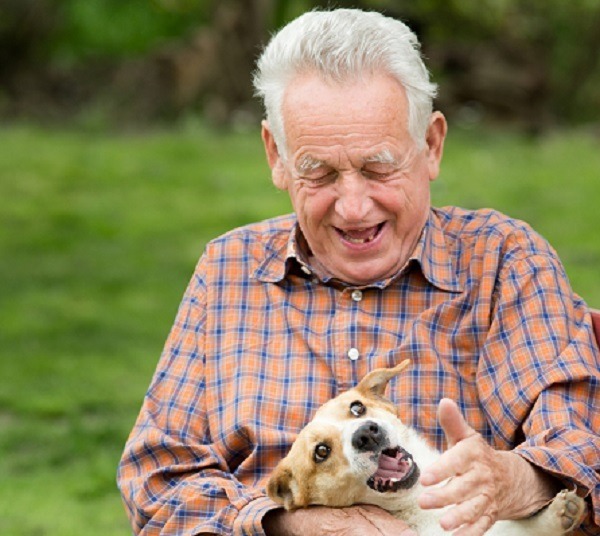 Old man playing with dog