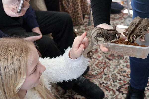 kimmys zoo36_04-18-19
