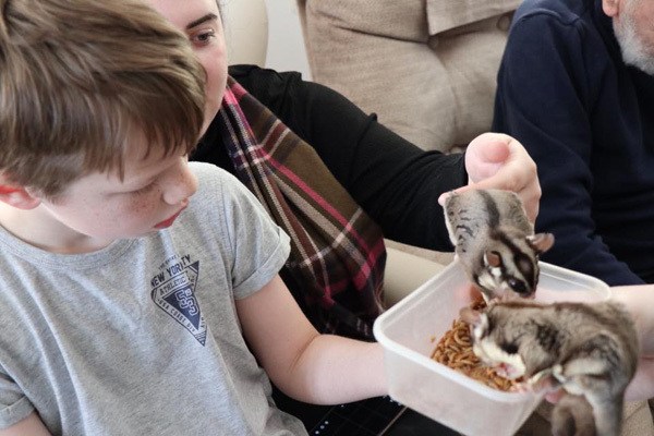 kimmys zoo37_04-18-19