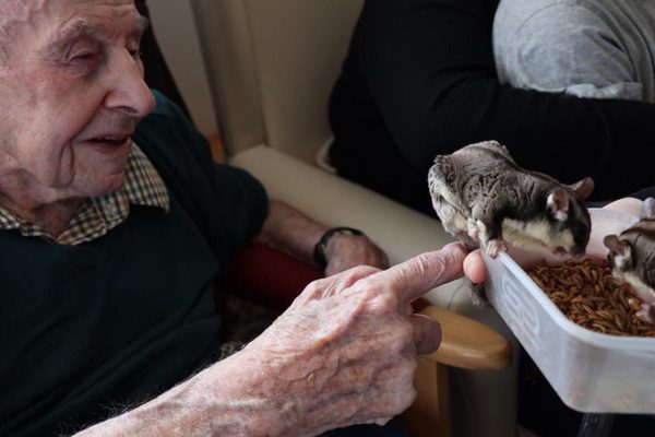 kimmys zoo40_04-18-19