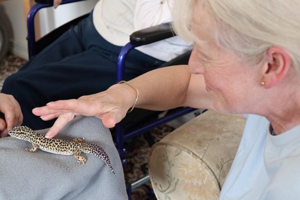 kimmys zoo54_04-18-19