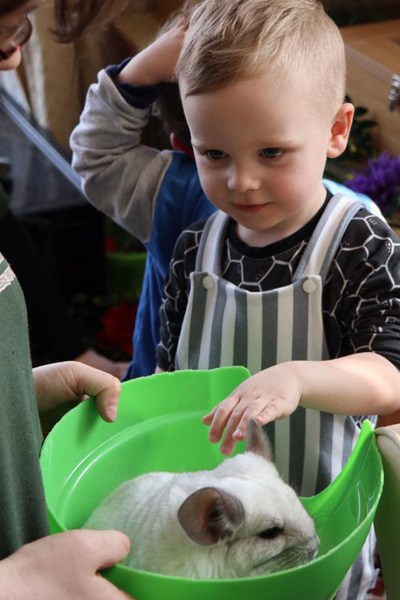 kimmys zoo72_04-18-19
